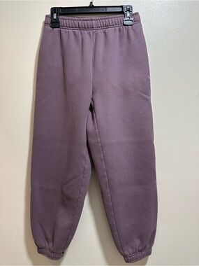 Aritzia Mauve/Purple TNA Sweatfleece Cozy Fleece MegaFit Sweatpants